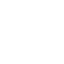 777tiger icon