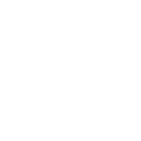 777tiger icon