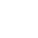 777tiger icon