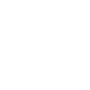 777tiger icon