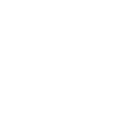 777tiger icon